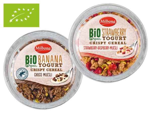 Bio Joghurt mit Müsli