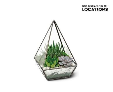 Geometric Terrarium