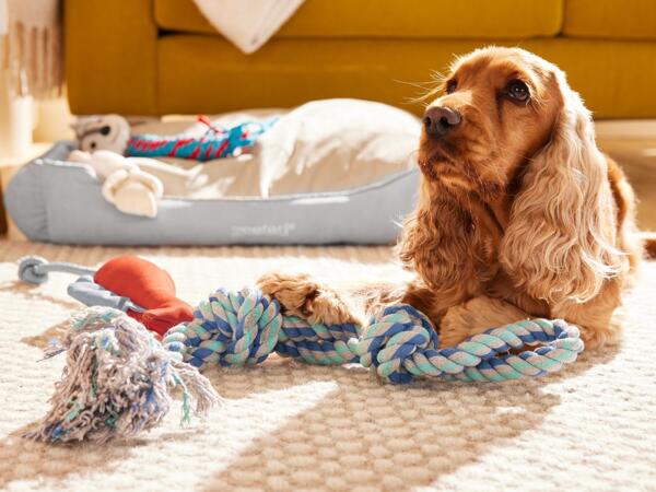Dog Rope Toy
