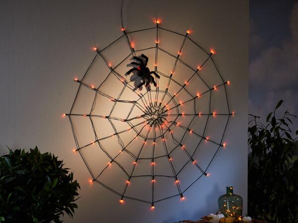 LED-Spinnennetz