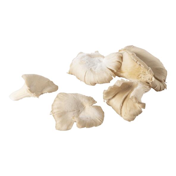 Pleurotes