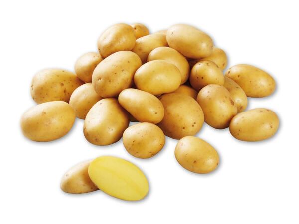 Økologiske kartofler