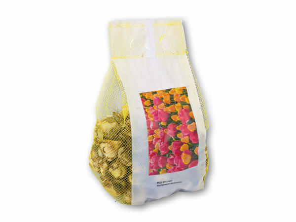 Blomsterløg i net