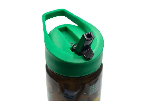 Zak Character Water Bottle - 600ml