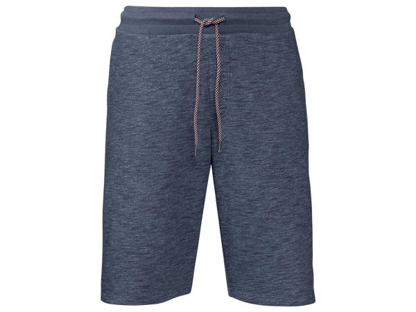 Bermudashorts1