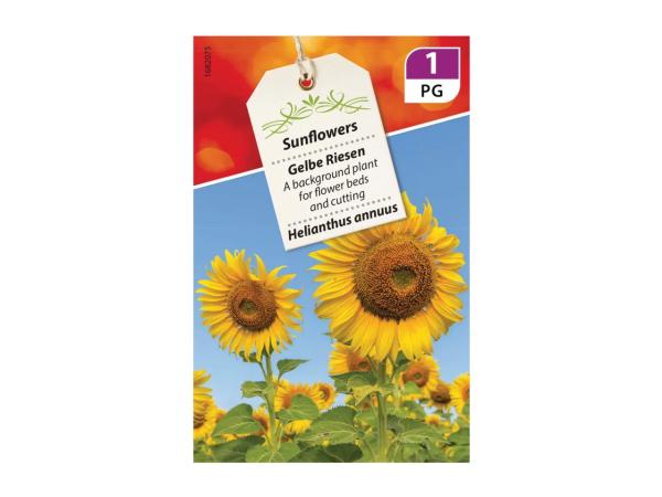 Fine Flowering Seeds - labelled 1