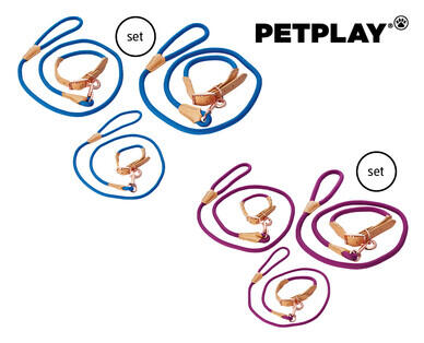 Dog Collar and Lead Set