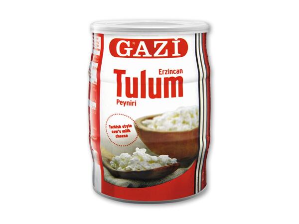 GAZI Tulumost