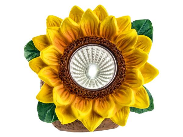 Decorative LED solar light