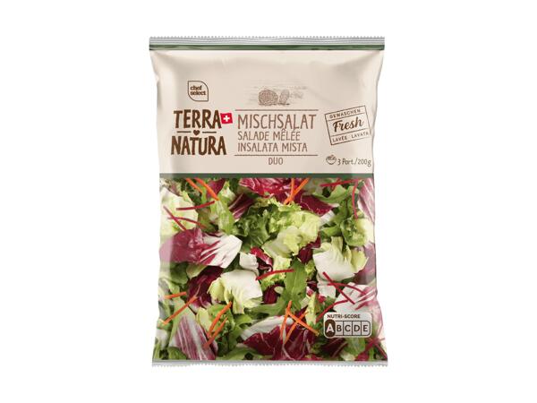 Salade mêlée