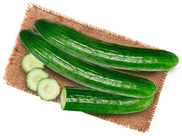 Gurke