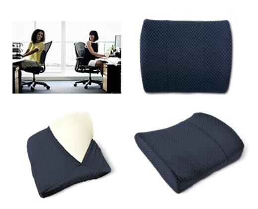 Easy Home 
 Memory Foam Lumbar or Swivel Cushion
