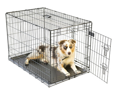 Shep Wire Kennel With Divider