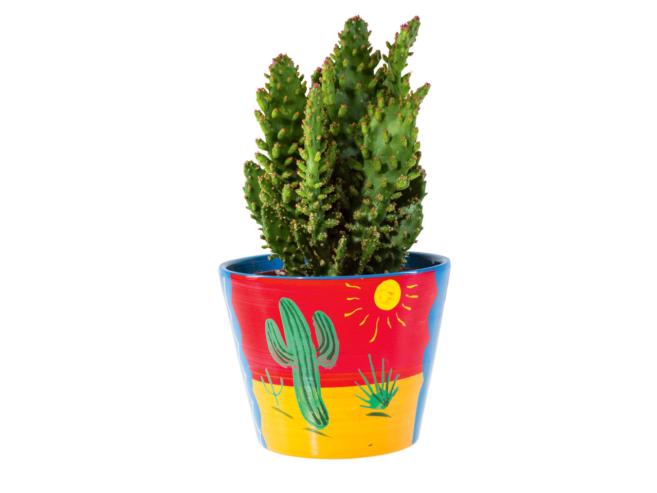 Mélange mexicain dans un pot en céramique