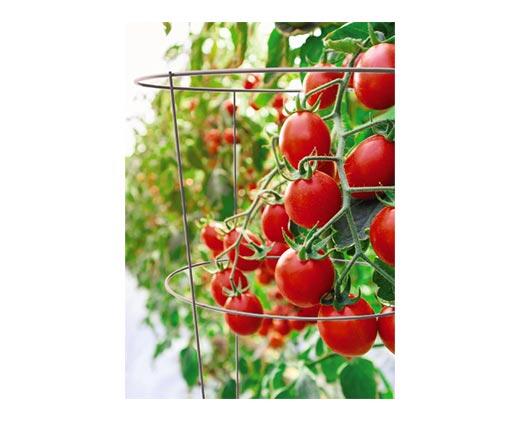 Gardenline 
 Tomato Cage