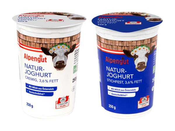 Naturjoghurt