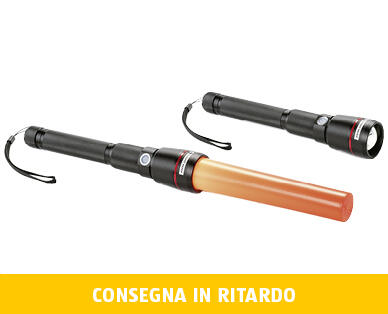 LIGHTWAY
LAMPADA LED A STELO DA 1500 LUMEN CON POWERBANK