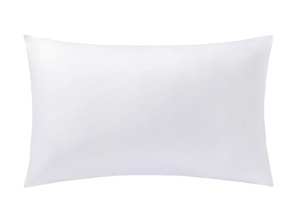 Dust Mite Proof Pillow
