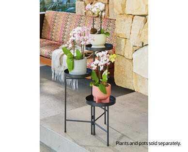 Decorative Indoor Plant Stand