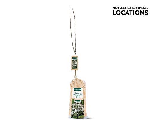Gardenline Shade or Ornamental Tree Assorted Varieties