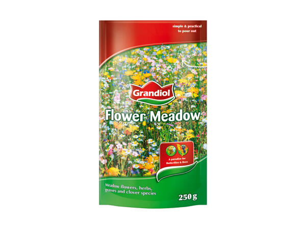 Prairie fleurie