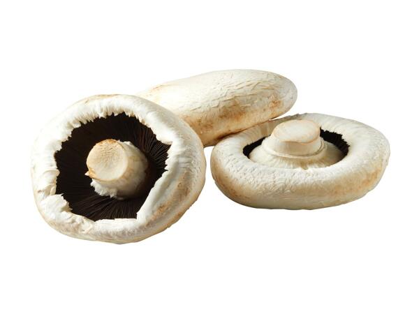 Northern Irish Flat Mushrooms