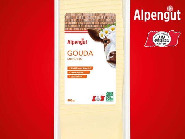 Gouda in Scheiben