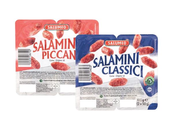 Mini Salami