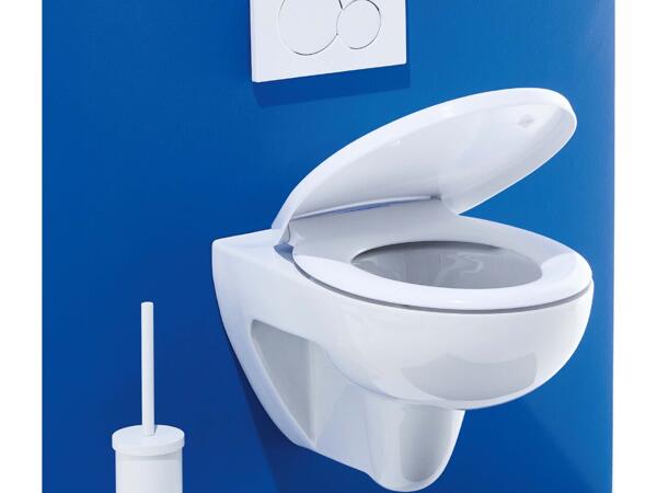 Toilet Seat