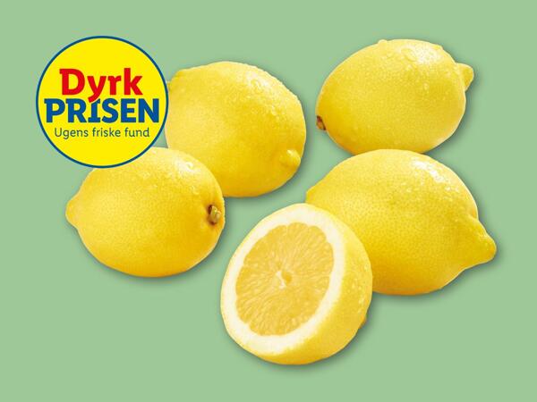 Citroner
