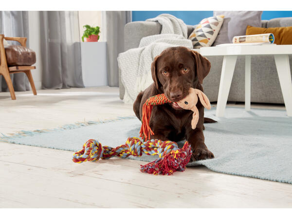 Dog Rope Toy