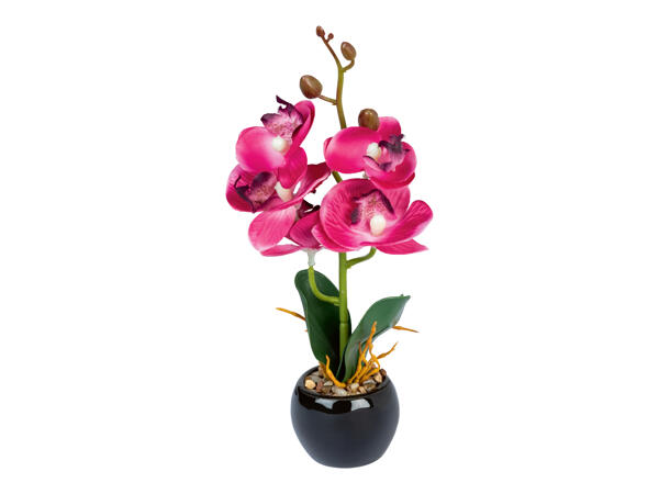 Artificial Orchid