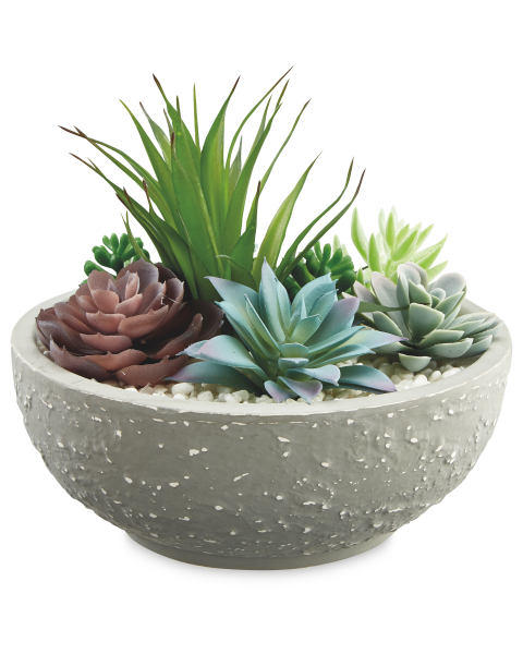 Artificial Succulent In Rustic Pot