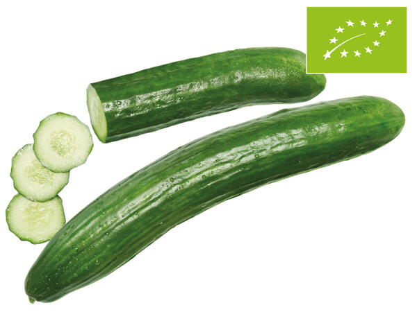 Bio Gurke