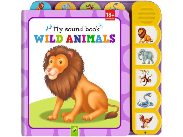 Kids' Sound Book