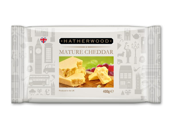 Modnet cheddar