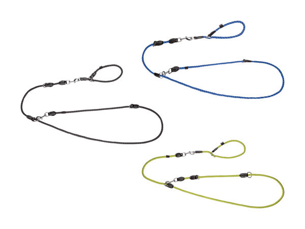 Laisse avec collier pour chien