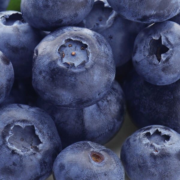 Premium Heidelbeeren