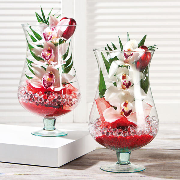 Cymbidium