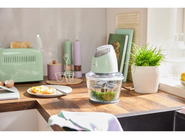 500W Mini Chopper