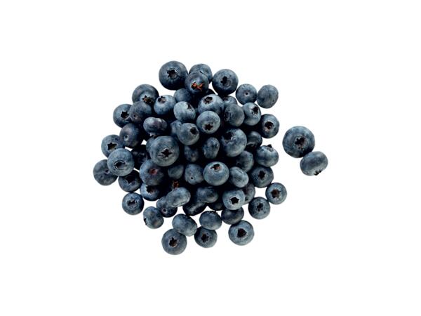 Blueberries XXL