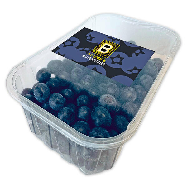 Premium Kultur-Heidelbeeren