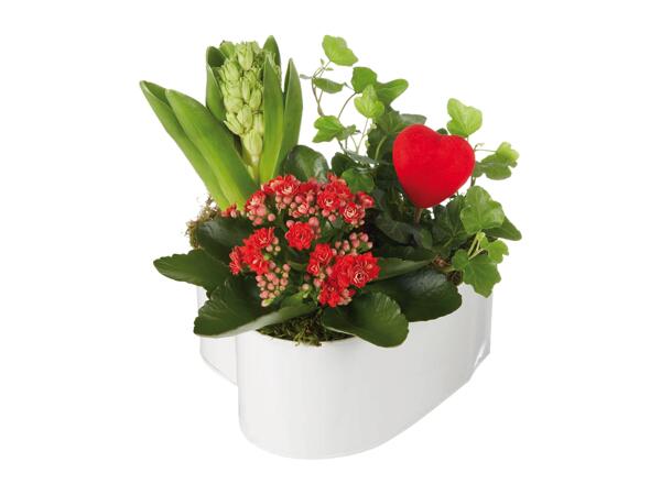 Saint Valentine's Day Composition