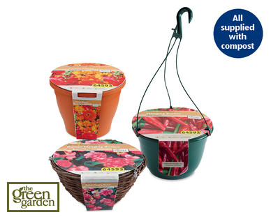 Basket/Planter