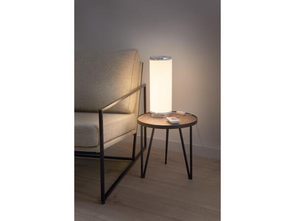 LED Table Light