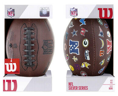 W/NFL 
 MINI BALLON DE FOOTBALL NFL