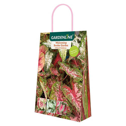 Sun or Shade Lovers Bulbs - Assorted Varieties