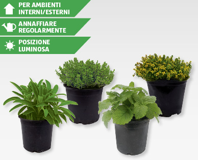 Mix di spezie italiane GARDENLINE(R)