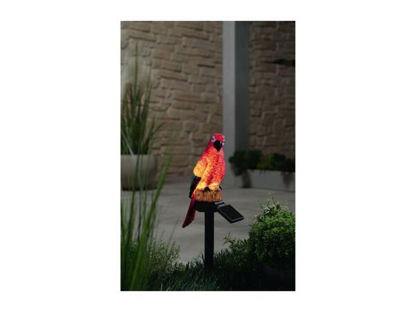 Livarno Home Decorative Solar Light