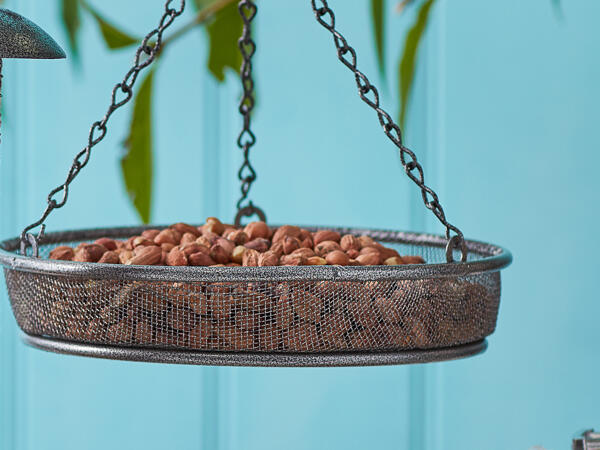 Oakdale Hanging Bird Feeder Tray
